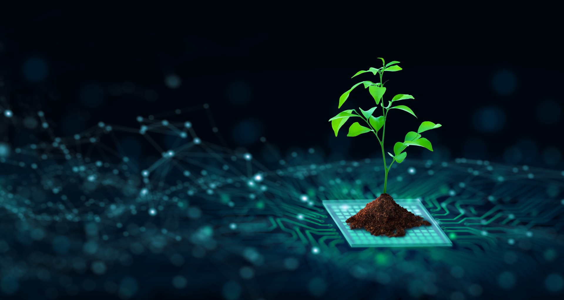 Green Computing, Green Technology, Green IT, csr, and IT ethics Concept.